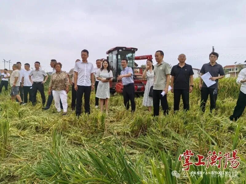 点点彩票app下载安装手机版官网联组调研秸秆综合利用和禁烧管控，助力打好蓝天保卫战