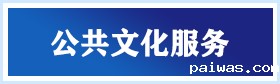 公共文化服务